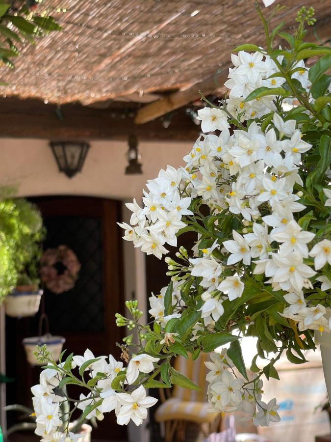 فندق La Bricola كافالّينو المظهر الخارجي الصورة