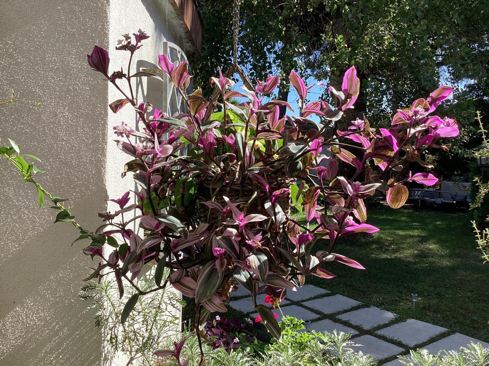 فندق La Bricola كافالّينو المظهر الخارجي الصورة