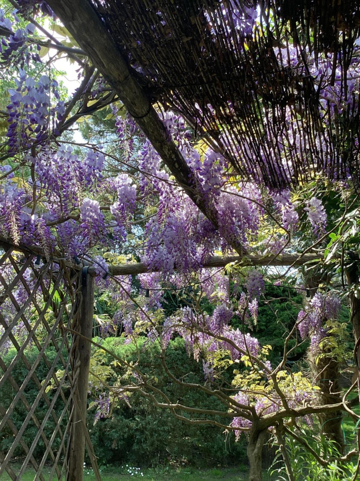 فندق La Bricola كافالّينو المظهر الخارجي الصورة